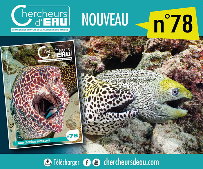 N°78 de Chercheurs d'eau