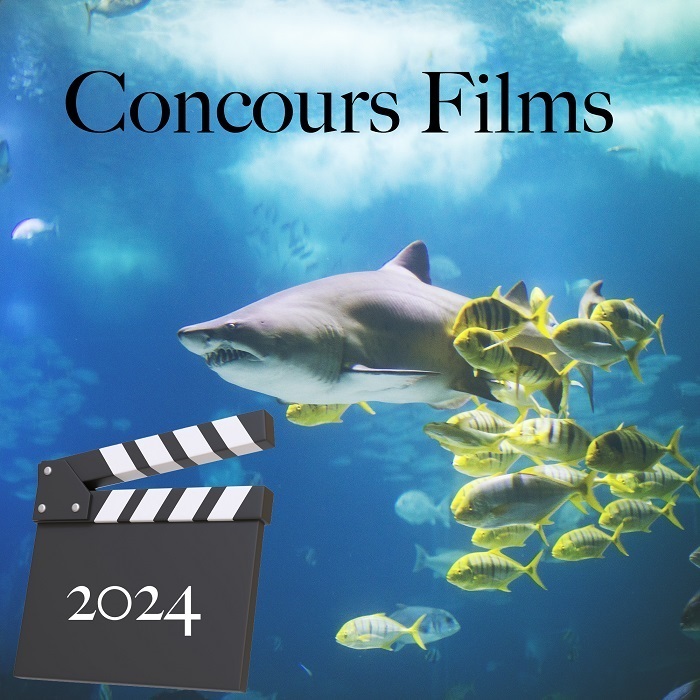 CONCOURS FILMS 2024