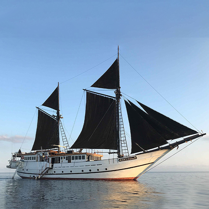 Croisières exclusives à bord du SMY Ondina et SMY Oceanic
