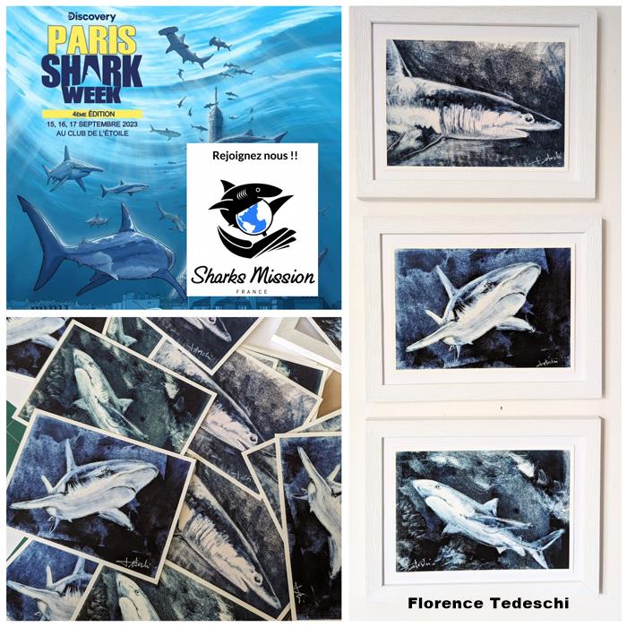 Paris Shark Week