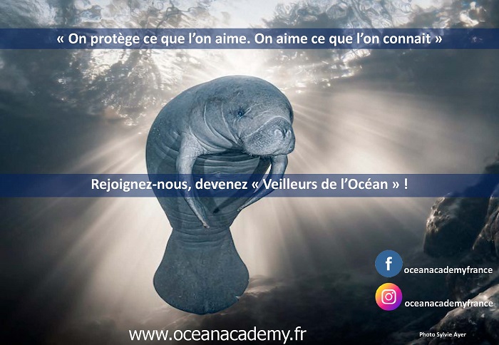 DEVENEZ VEILLEURS DE L'OCEAN