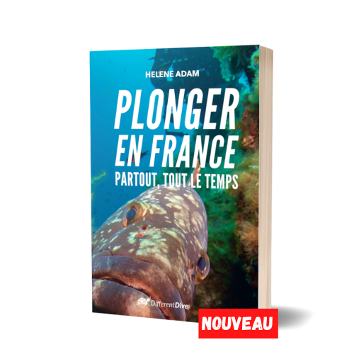 Plonger En France - Partout, Tout Le Temps