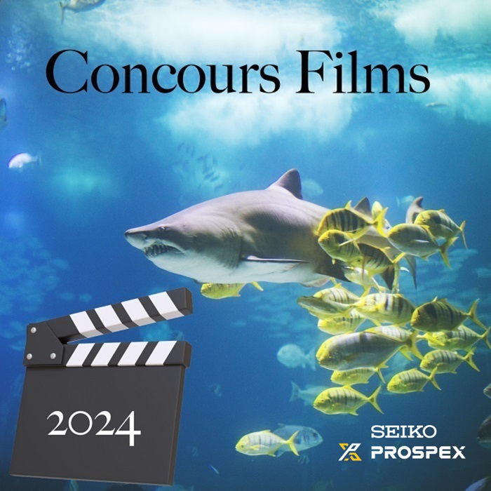 PALMARES CONCOURS FILMS 2024