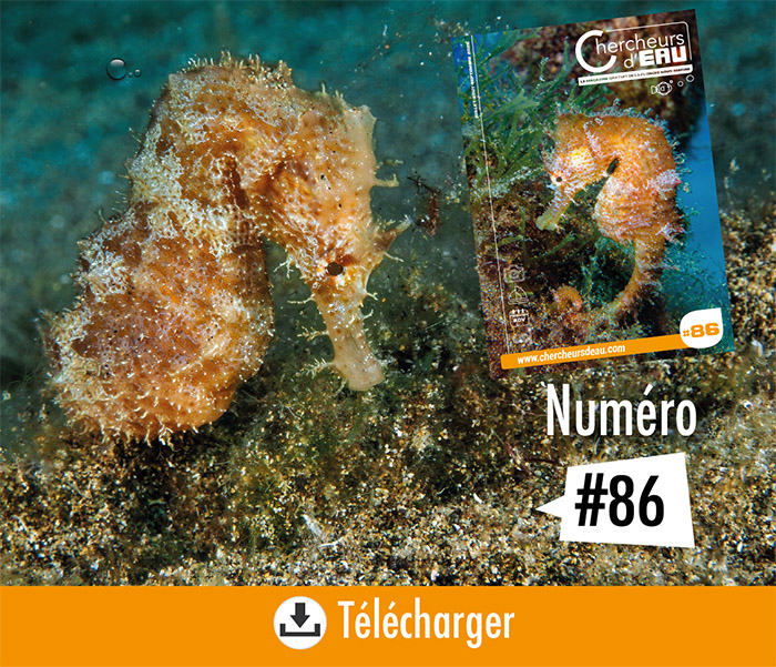 N°86 magazine Gratuit Chercheurs d'eau