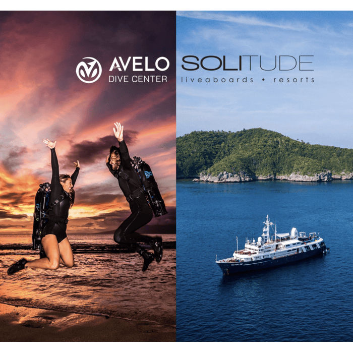 Dive Avelo at Solitude