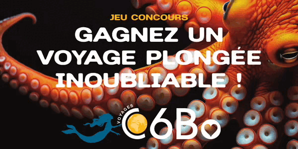 Jeu concours - 3 croisières à gagner