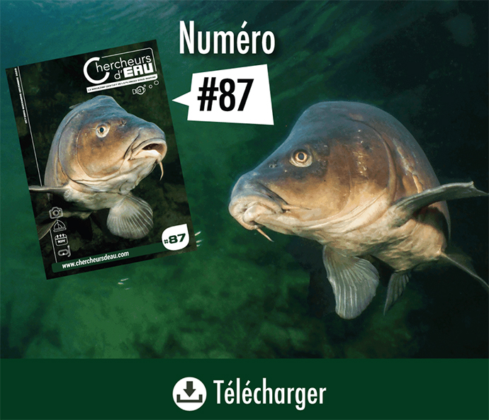 N°87 magazine gratuit Chercheurs d'eau
