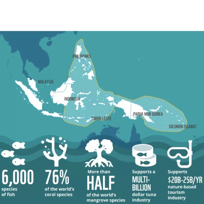 L'Indonésie : Le cœur battant du Triangle de Corail