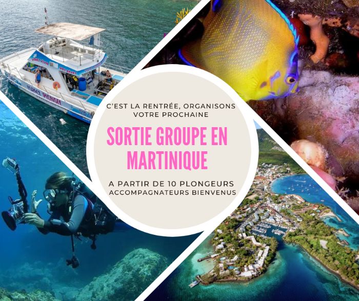 Clubs de plongée, prêts à partir pour l'aventure ?   