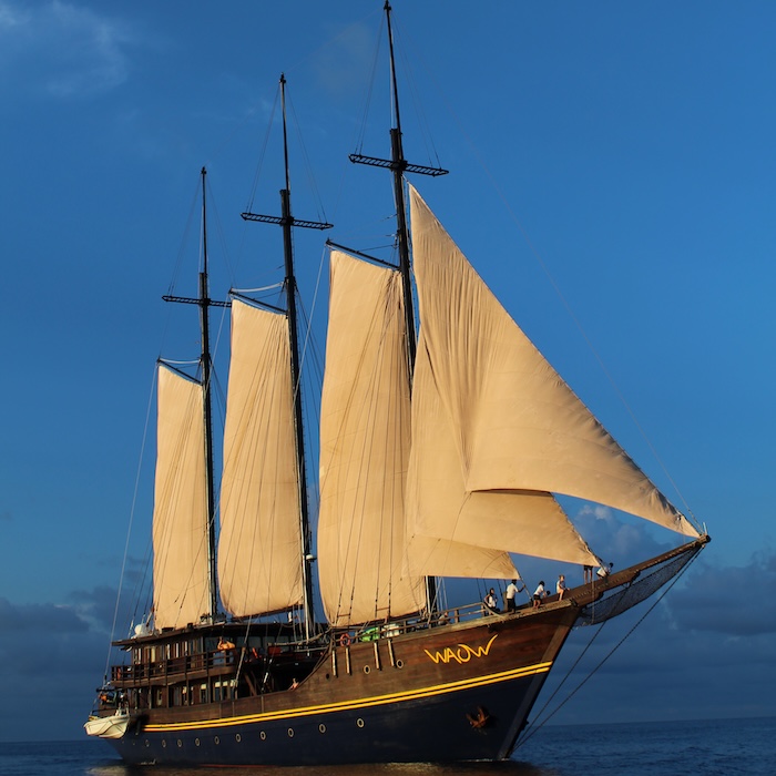 Le WAOW 2 est en chantier