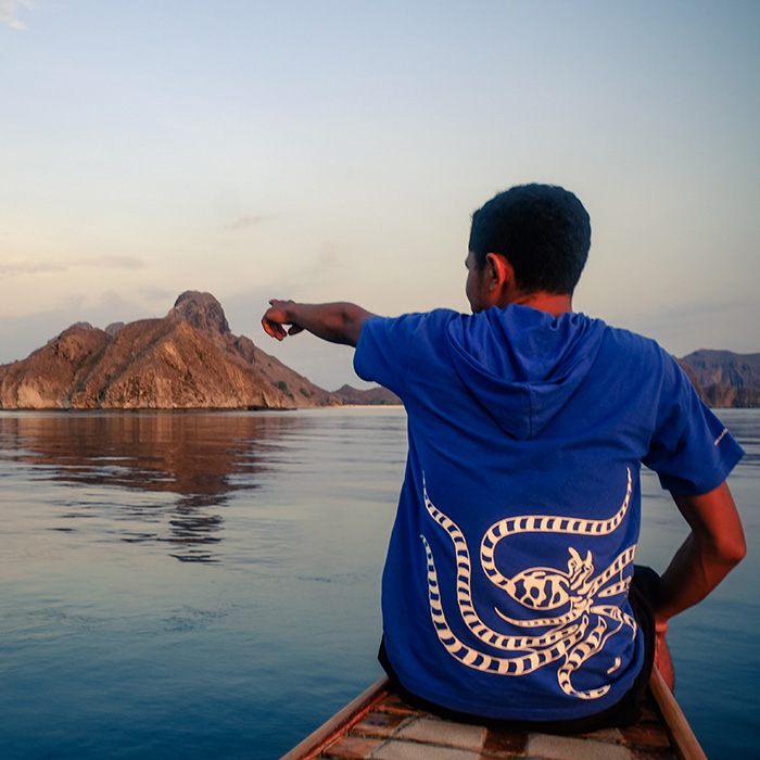 Plonger à Komodo : Notre Guide Complet