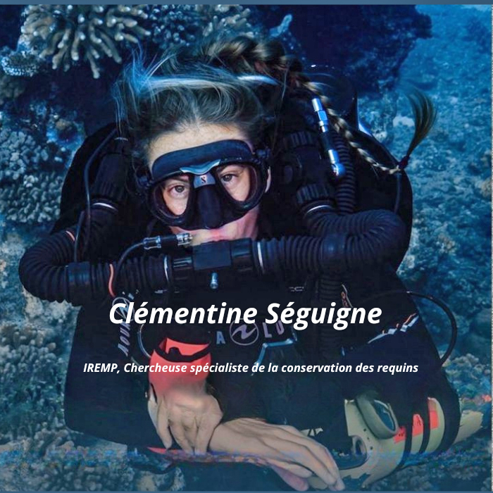 DONNER DU SENS A VOS PLONGEES : et si chaque immersion ...