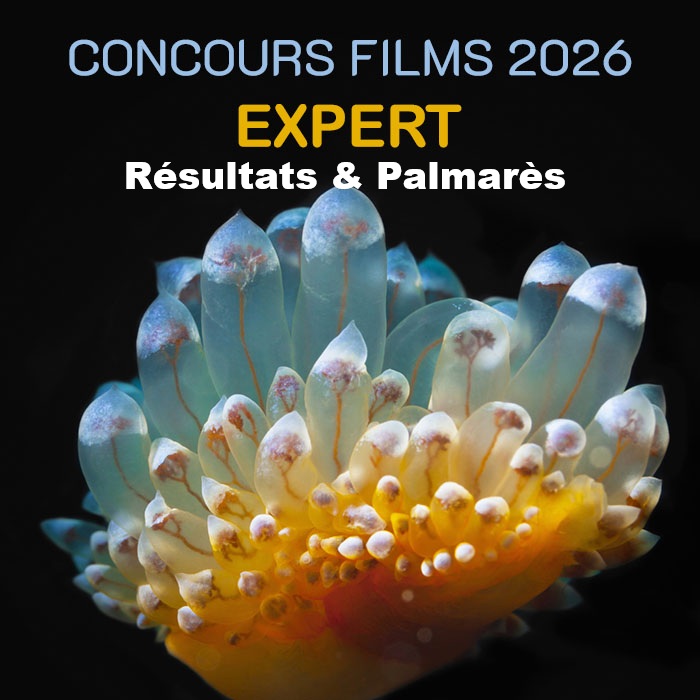 Résultats & Palmarès du concours fims 2026 – Catégorie Expert