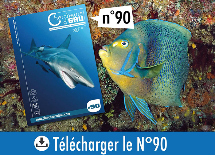 N°90 de Chercheurs d'eau