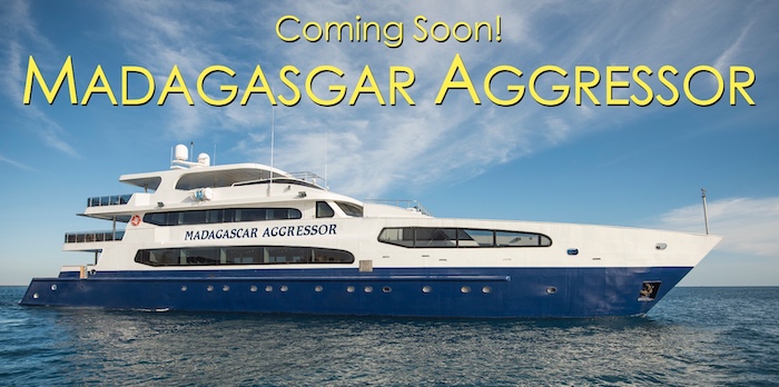 Madagascar Aggressor - À venir - Coming Soon