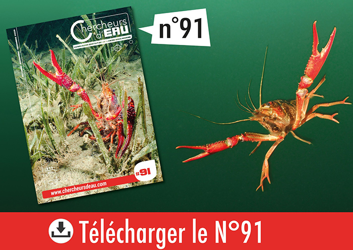 N°91 de Chercheurs d'eau