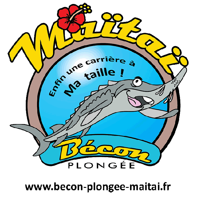 MAITA BECON PLONGEE