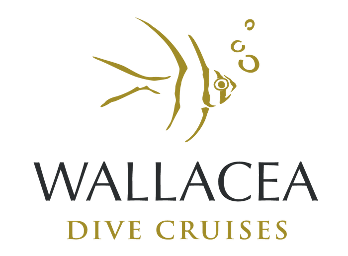 WALLACEA DIVE CRUISE