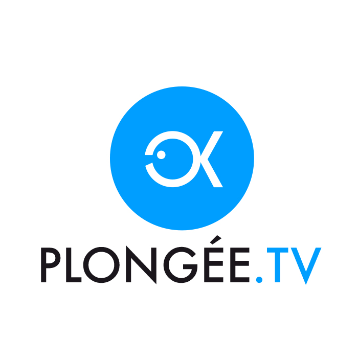 PLONGEE TV