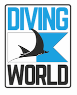BEACHCOMBER LIMITED - DIVING WORLD