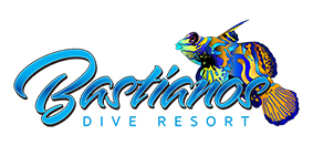 BASTIANOS DIVE RESORT