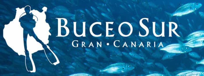 GDE CANARIE BUCEOSUR