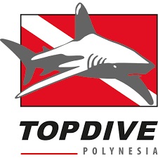 TOPDIVE