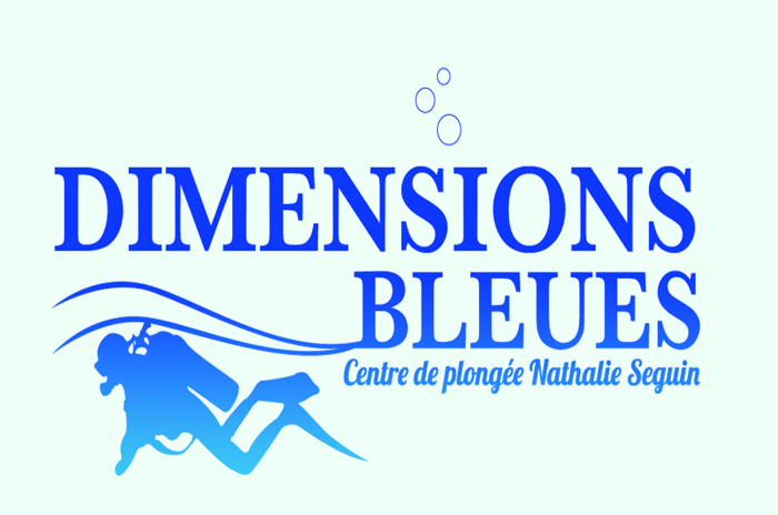 DIMENSIONS BLEUES-DUCKS