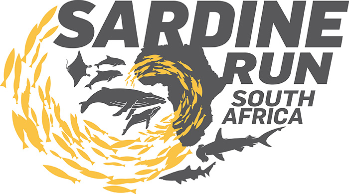 SARDINE RUN SOUTH AFRICA