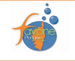FAVONE PLONGEE