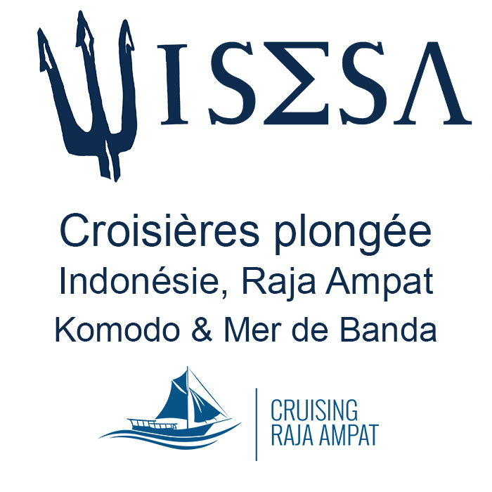 WISESA CROISIERE PLONGEE INDONESIE