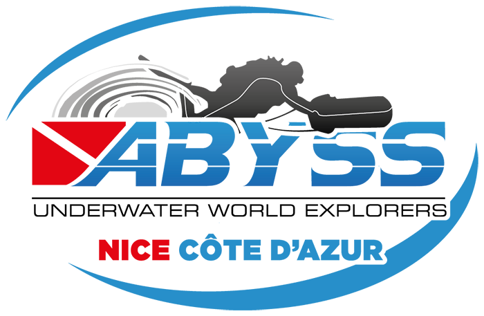 ABYSS UNDERWATER WORLD EXPLORERS