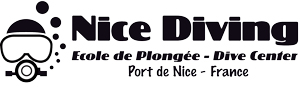 NICE DIVING