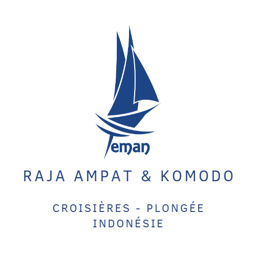 TEMAN LIVEABOARD