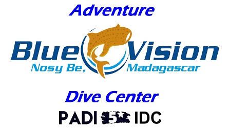 ADVENTURE BLUE VISION - SOUS L'EAU FORMATION