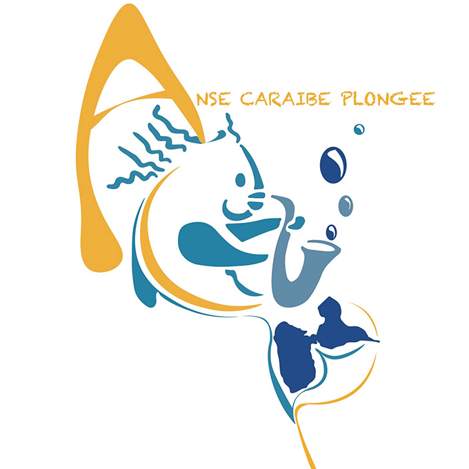 ANSE CARAIBE PLONGEE