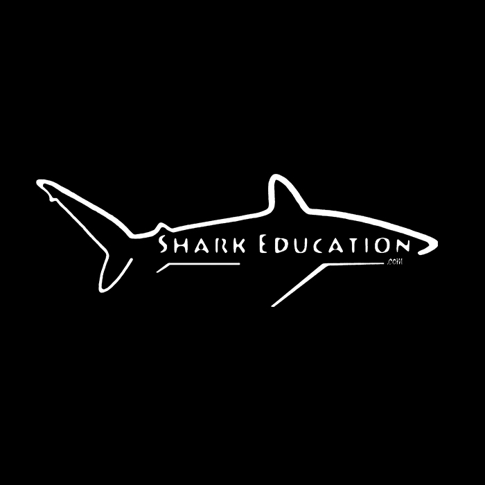 SHARK EDUCATION