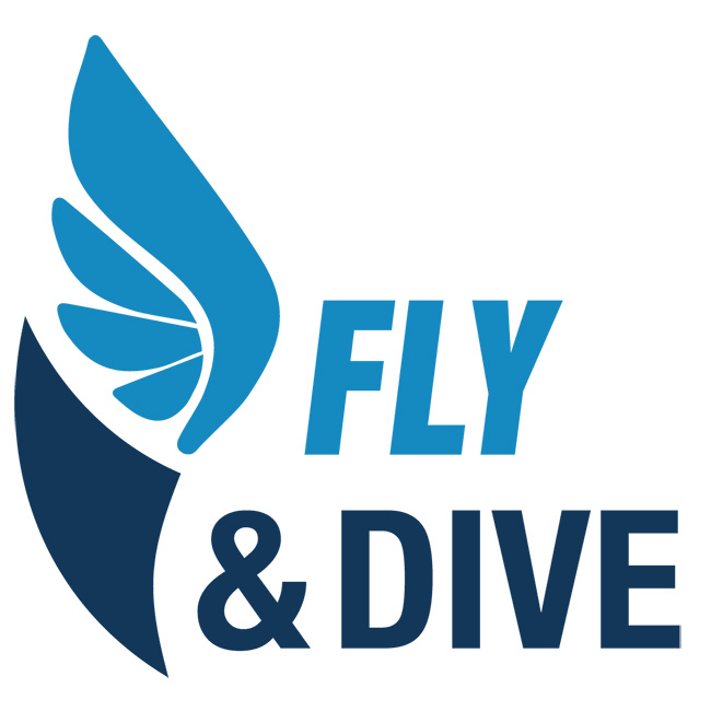 FLY AND DIVE