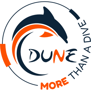 DUNE