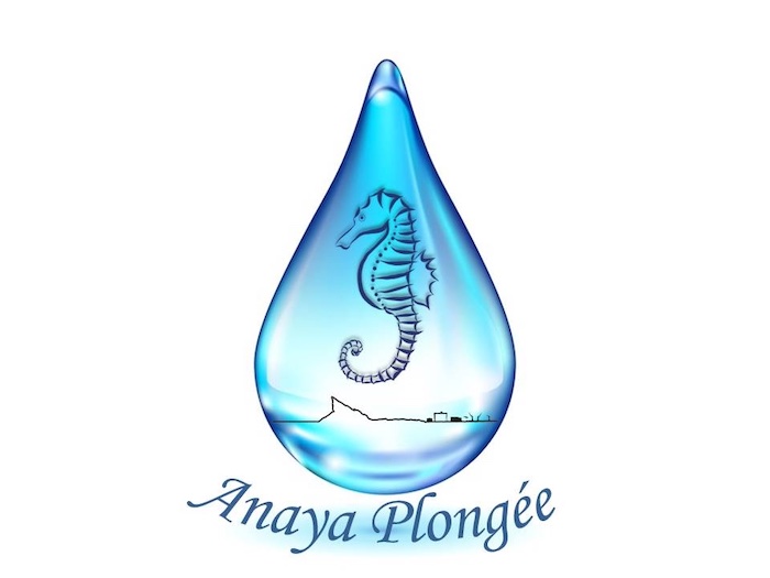 ANAYA PLONGEE