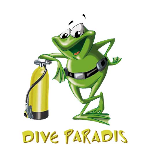 DIVE PARADIS
