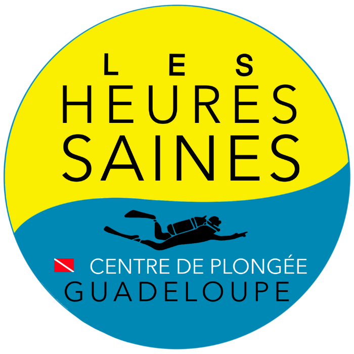 LES HEURES SAINES