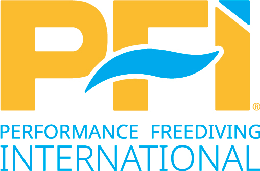 TDI-SDI FRANCE