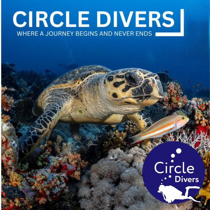 CIRCLE DIVERS