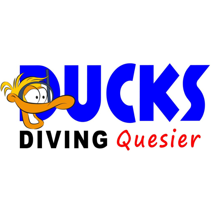 DUCKS DIVING QUESIER
