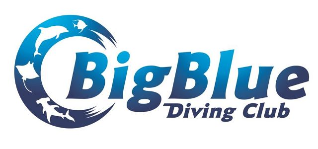 BIG BLUE DIVING CLUB