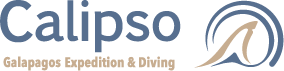 CALIPSO DIVE