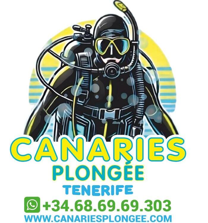 CANARIES PLONGEE