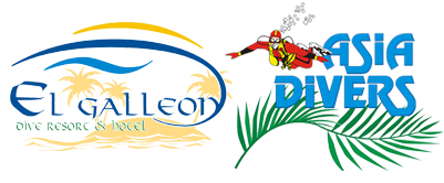 EL GALLEON DIVE RESORT/ASIA DIVERS