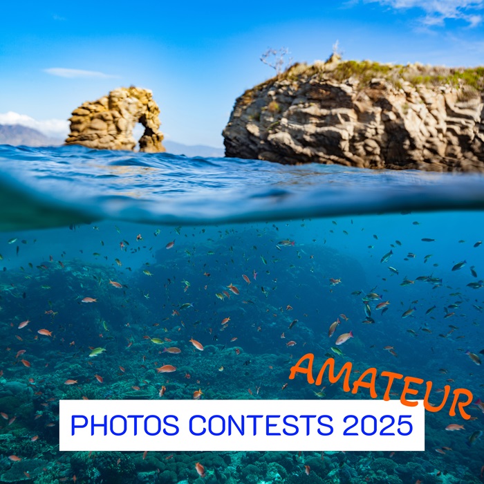 Release : Photos and Films Contests 2025